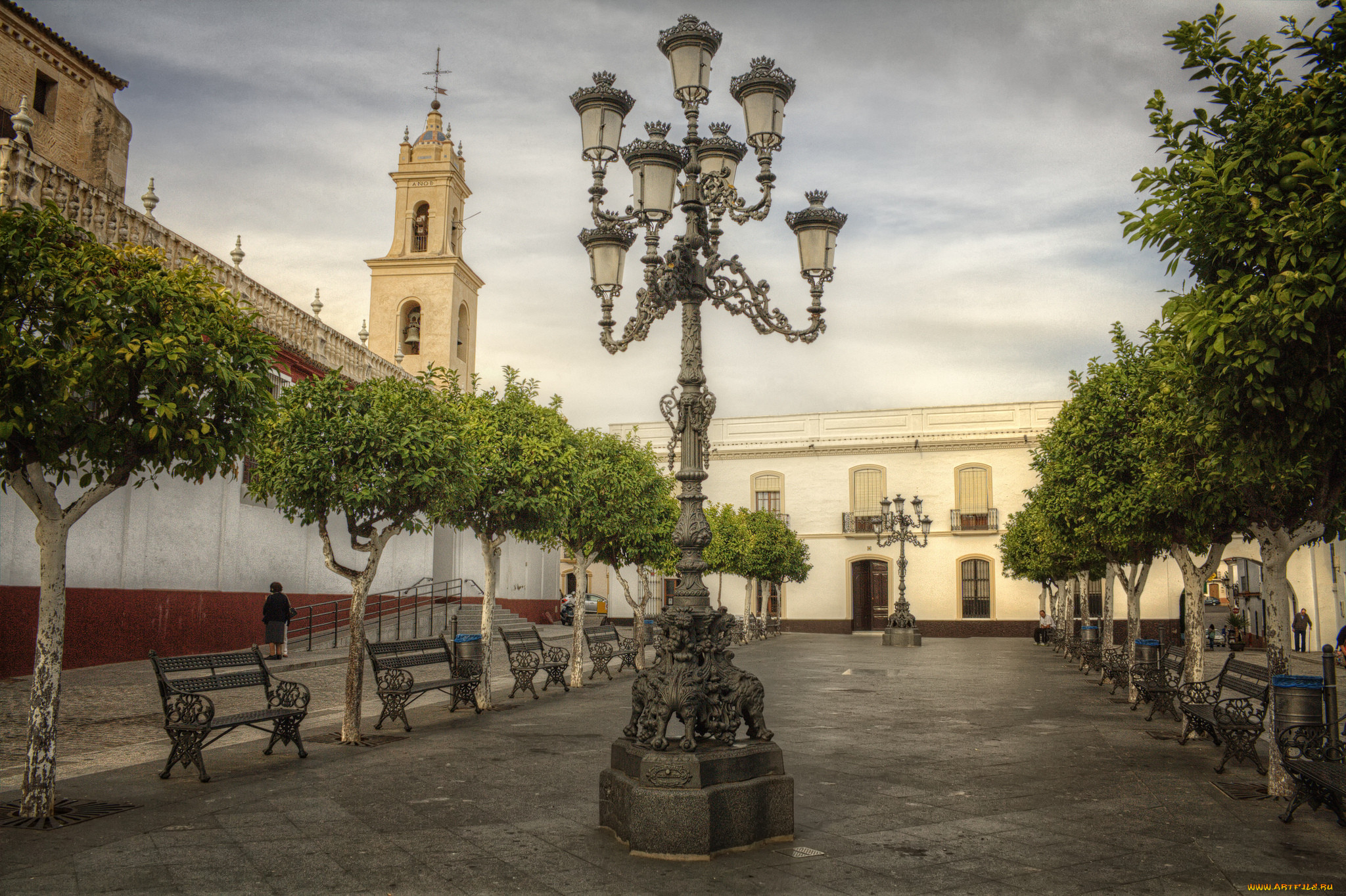 amanece en olivares, ,  , , , , 